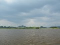 Tn PPTC 275
